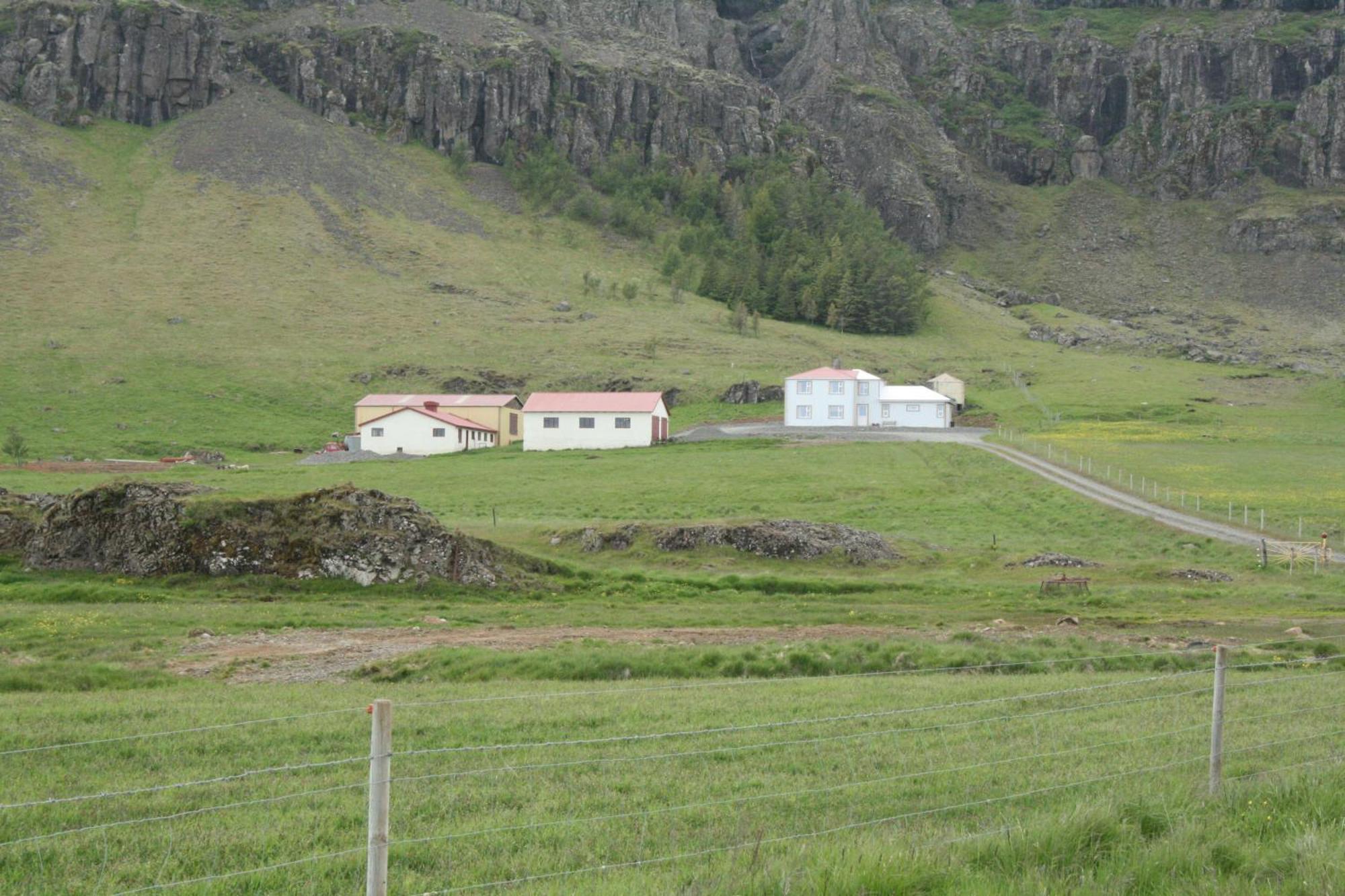 Guesthouse Stekkatun Skálafell Dış mekan fotoğraf